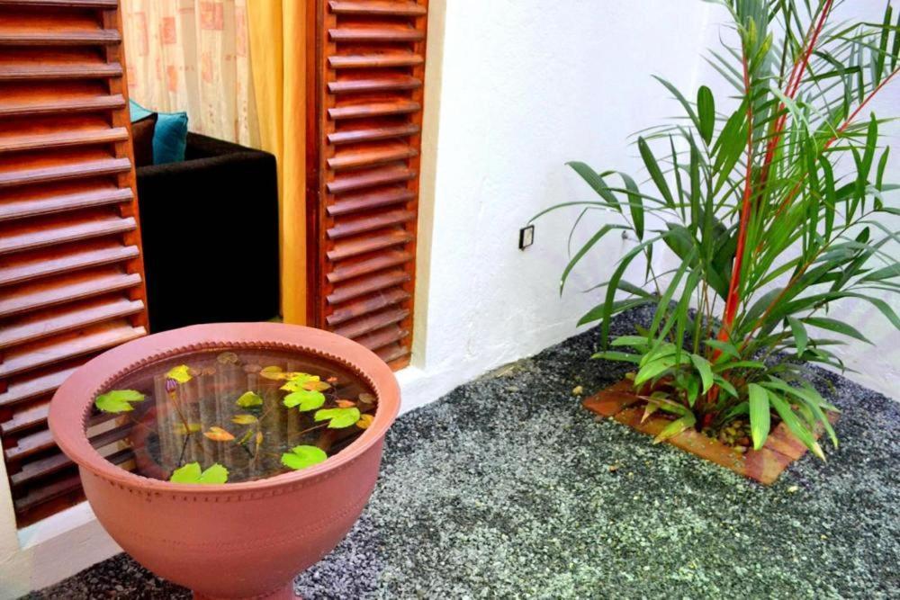 Sobaya Residence Ambalantota Buitenkant foto